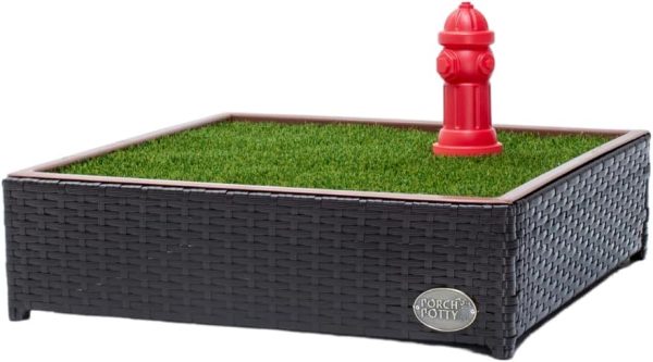 51cjPWPFVoL._AC_SL1500_ Porch Potty Self-Draining Dog Potty