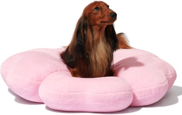 61m8Lrb4cOL._AC_SL1500_ VETRESKA Dog Beds for Small Dogs