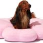VETRESKA Dog Beds for Small Dogs
