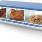 Kinchoix Chicken Nesting Box for Laying Eggs