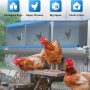 Kinchoix Chicken Nesting Box for Laying Eggs 3 Compartment Nest Box for Chicken Hens Ducks Poultry Protect Eggs Chicken Coop Easy Egg Collection Nest Box for Chicken Coop Wall Mount - Image 3
