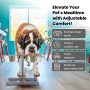 Iconic Pet Adjustable Dog Food Stand
