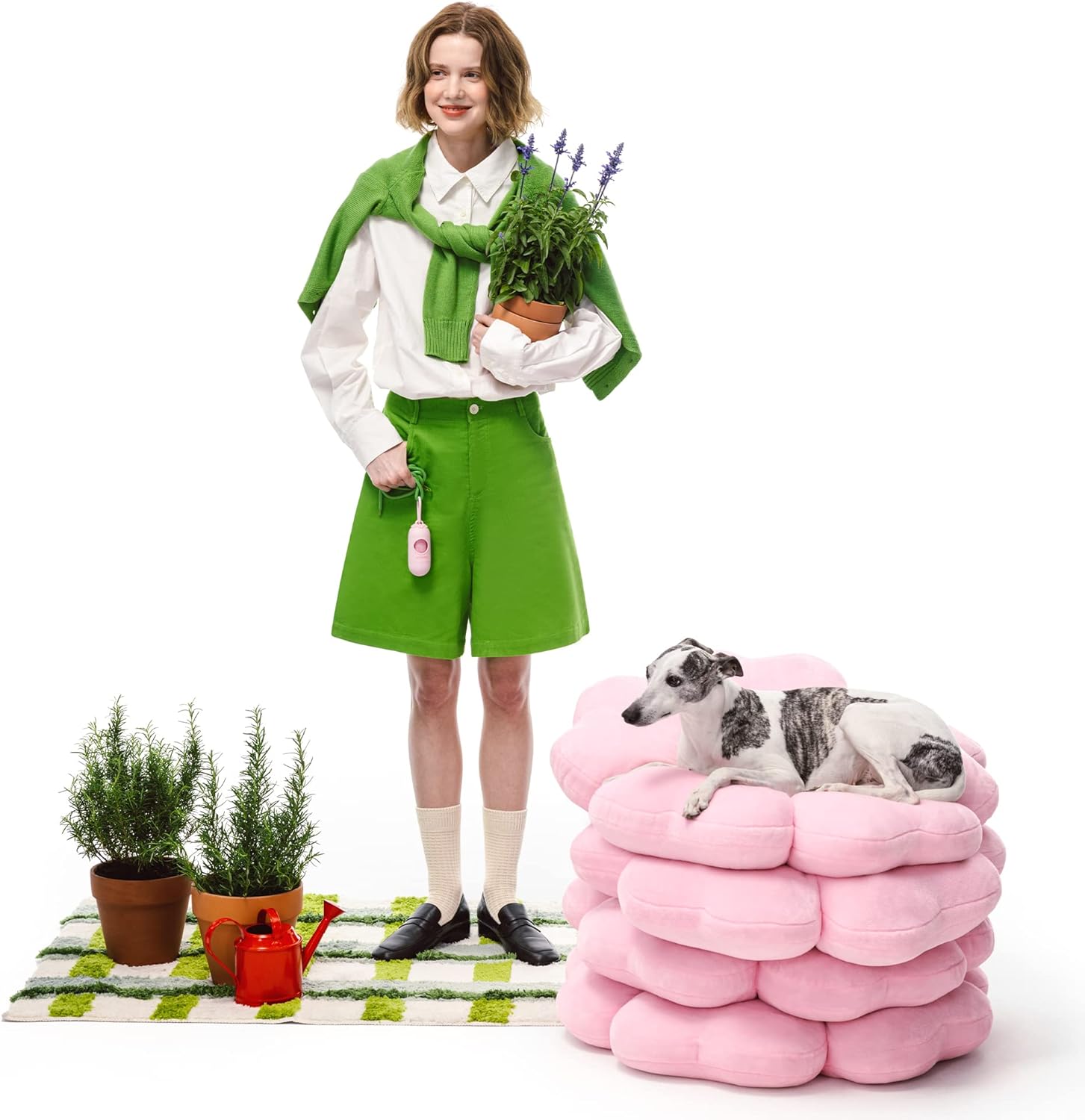 VETRESKA Dog Beds for Small Dogs