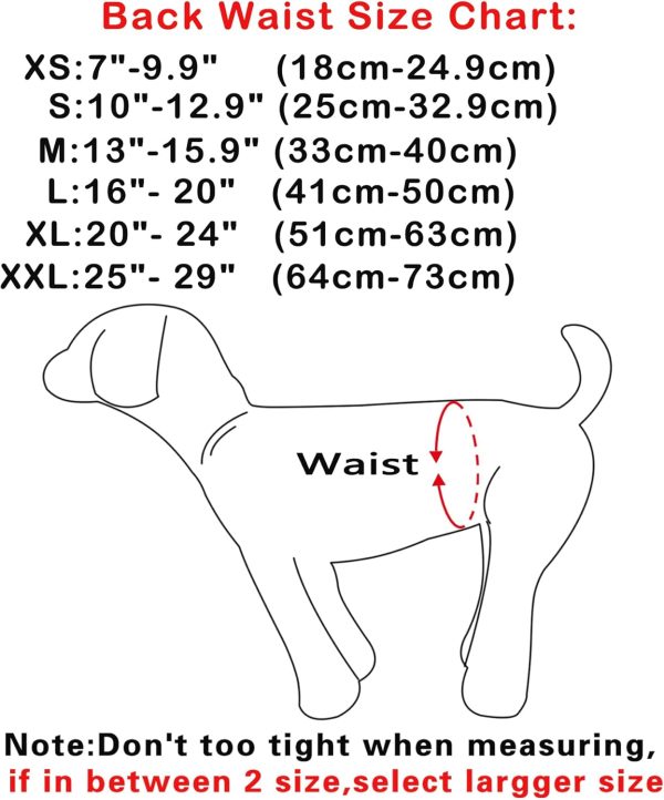 JoyDaog Reusable Dog Belly Bands