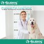 GLADOG Soft Dog Cone Collar