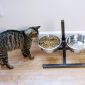 Iconic Pet Adjustable Dog Food Stand