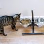 Iconic Pet Adjustable Dog Food Stand