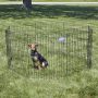 MidWest Dog Exercise Pen & Playpen