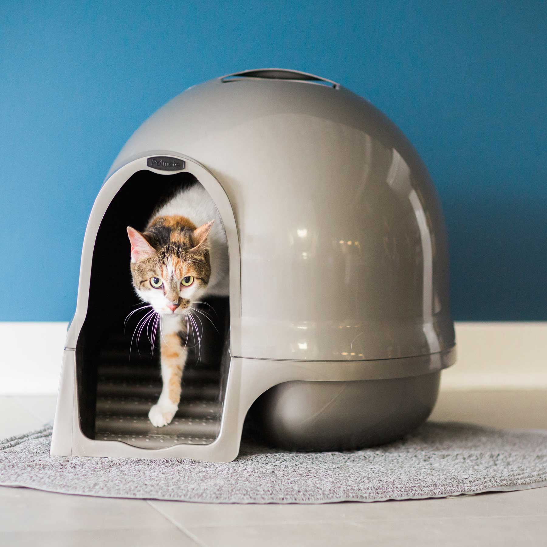 Petmate Booda Clean Step Cat Litter Box Dome